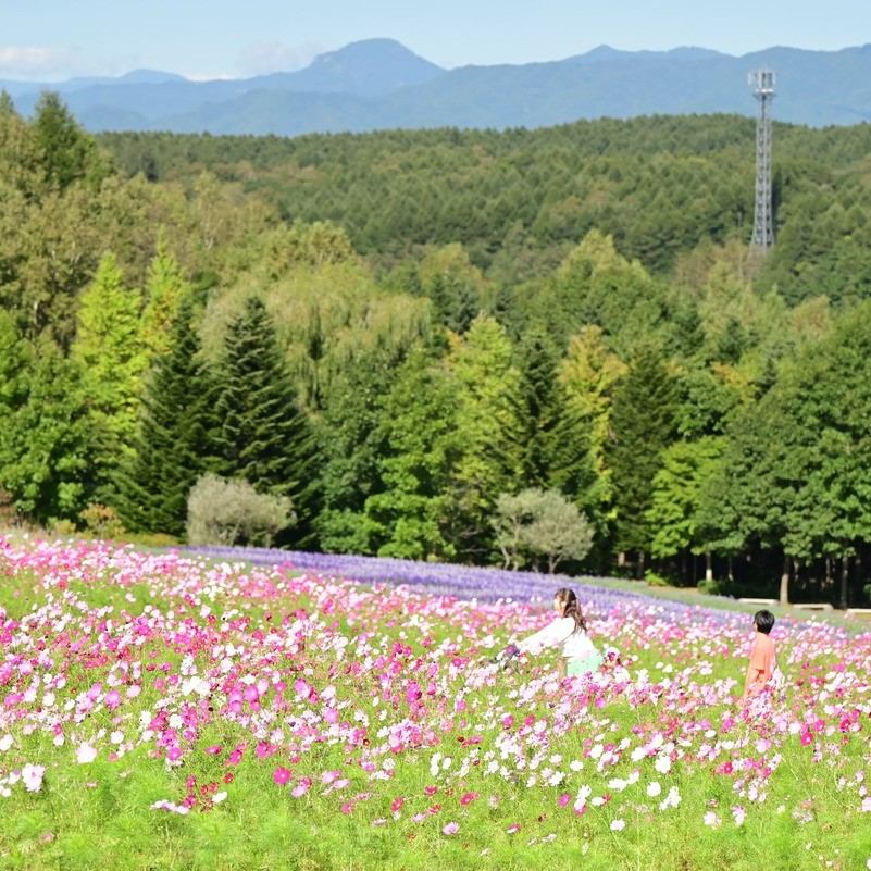 瀧野鈴蘭丘陵公園